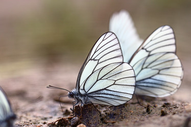 Similar image 10496097