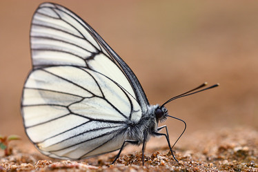 Similar image 10496098