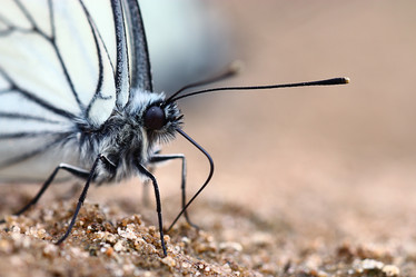 Similar image 10496099