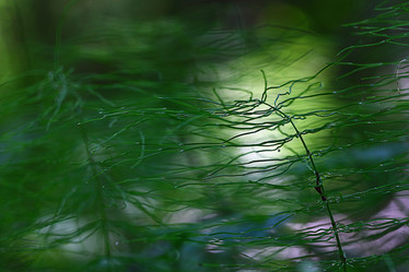 Similar image 10496102