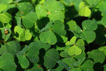 Similar image 10496104