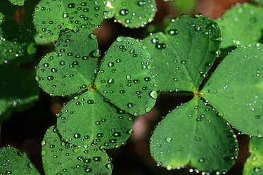 Similar image 10496108