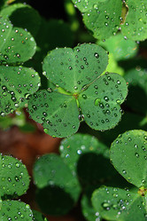 Similar image 10496109