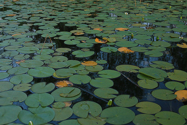 Similar image 10496110