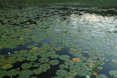 Similar image 10496111