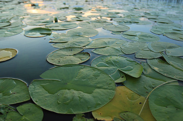 Similar image 10496112