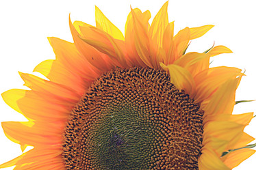 Similar image 10496115