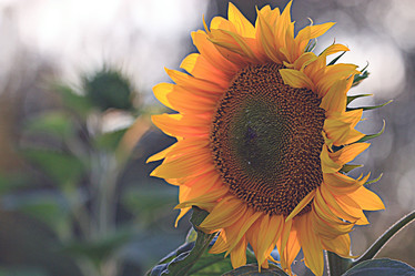 Similar image 10496116