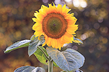 Similar image 10496136