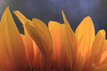 Similar image 10496159