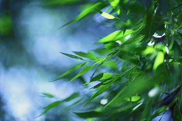 Similar image 10496160