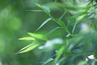 Similar image 10496161