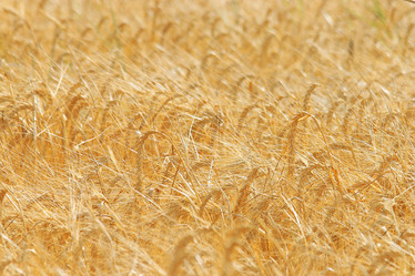 Similar image 10496164