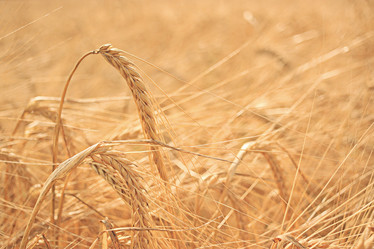 Similar image 10496167