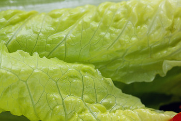 Similar image 10496169