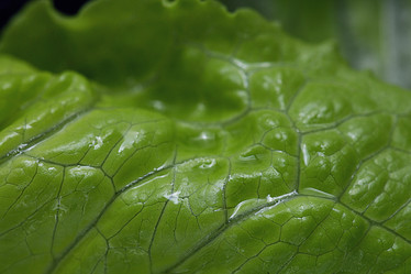 Similar image 10496170