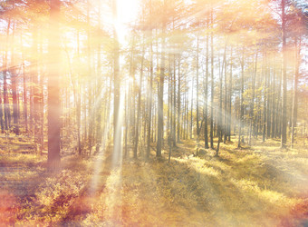 Similar image 10496176