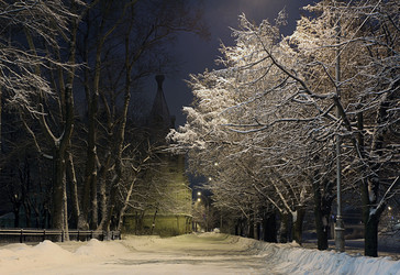 Similar image 10496177