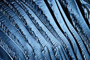 Similar image 10496181