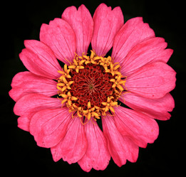 Similar image 10496188