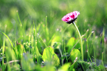 Similar image 10496189