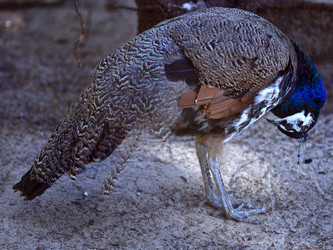 Similar image 10496192