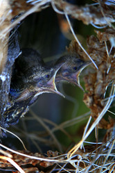 Similar image 10496196