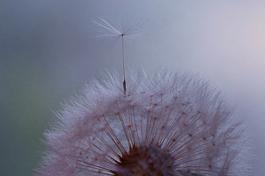 Similar image 10496202