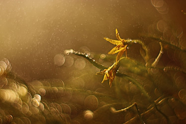 Similar image 10496203