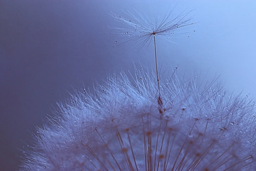 Similar image 10496204