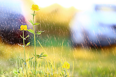 Similar image 10496206