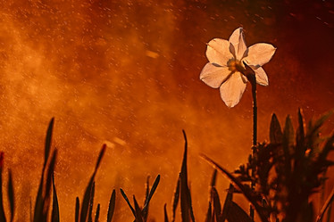 Similar image 10496210