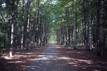 Similar image 10496214