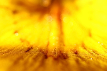 Similar image 10496218