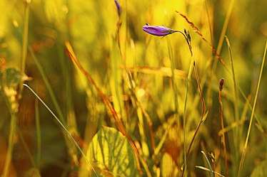 Similar image 10496219