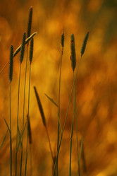 Similar image 10496220