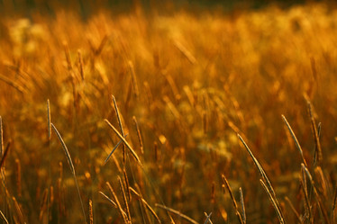 Similar image 10496221