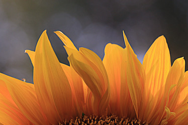 Similar image 10496225