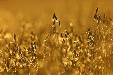 Similar image 10496229