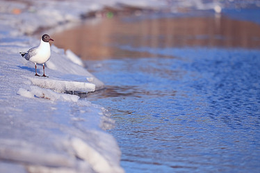 Similar image 10496231