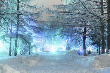 Similar image 10496243