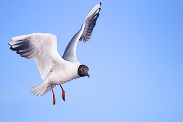 Similar image 10496246