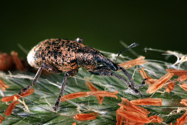 Similar image 10496248