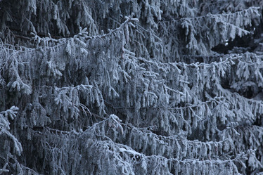 Similar image 10496253