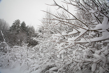 Similar image 10496257