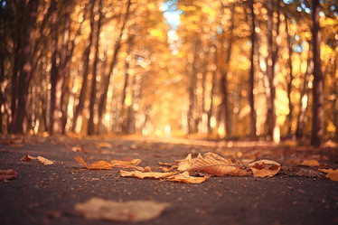 Similar image 10496260