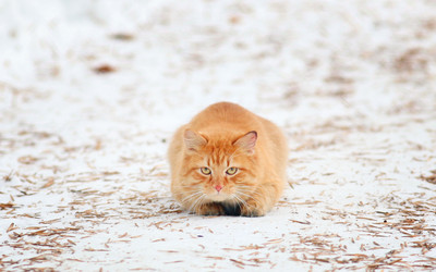 Similar image 10496282