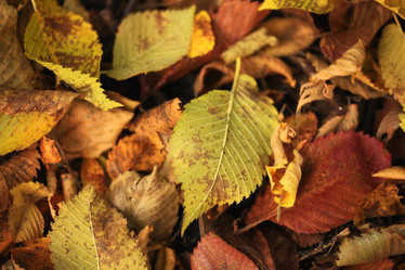 Similar image 10496284