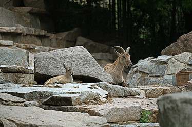 Similar image 10496288