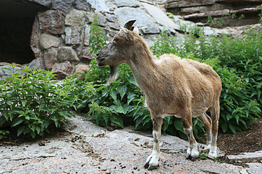 Similar image 10496296